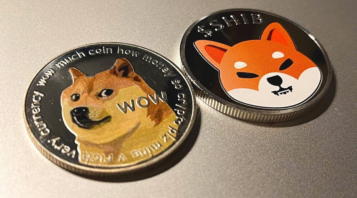 Shiba Inu ve Dogecoin'deki İlgi Bu Altcoine Kaydı! - Bitcoin Sistemi