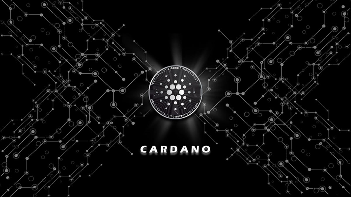 Cardano (ADA) Aylık On-Chain Verileri Yayınlandı!