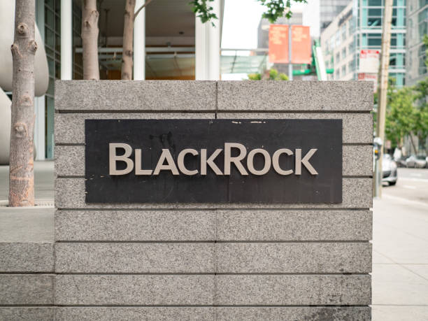 Will XRP, Solana (SOL), Cardano (ADA) ETFs Come? Striking Claims from BlackRock Executive!